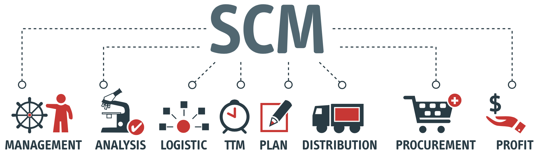 Supply Chain Management Infographic